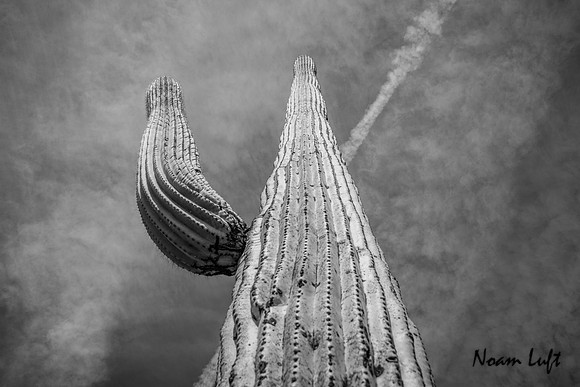 Reach For The Clouds